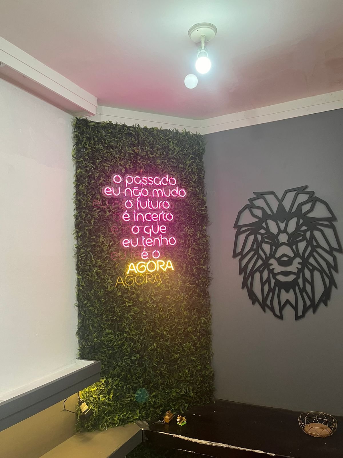 bdfb9365-a3f7-4a6e-aabf-804a8204cbba.jpeg